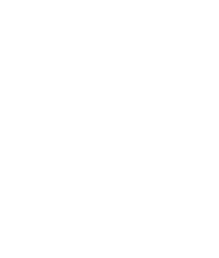 Lyrebird Arts Council Logo